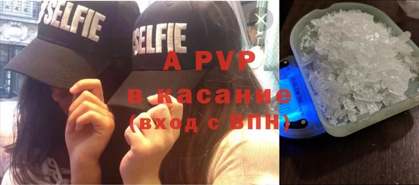 прущие крисы Инта
