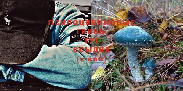 прущие крисы Инта