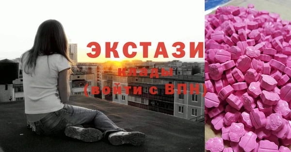 сатива Инсар