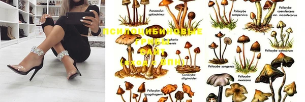 сатива Инсар
